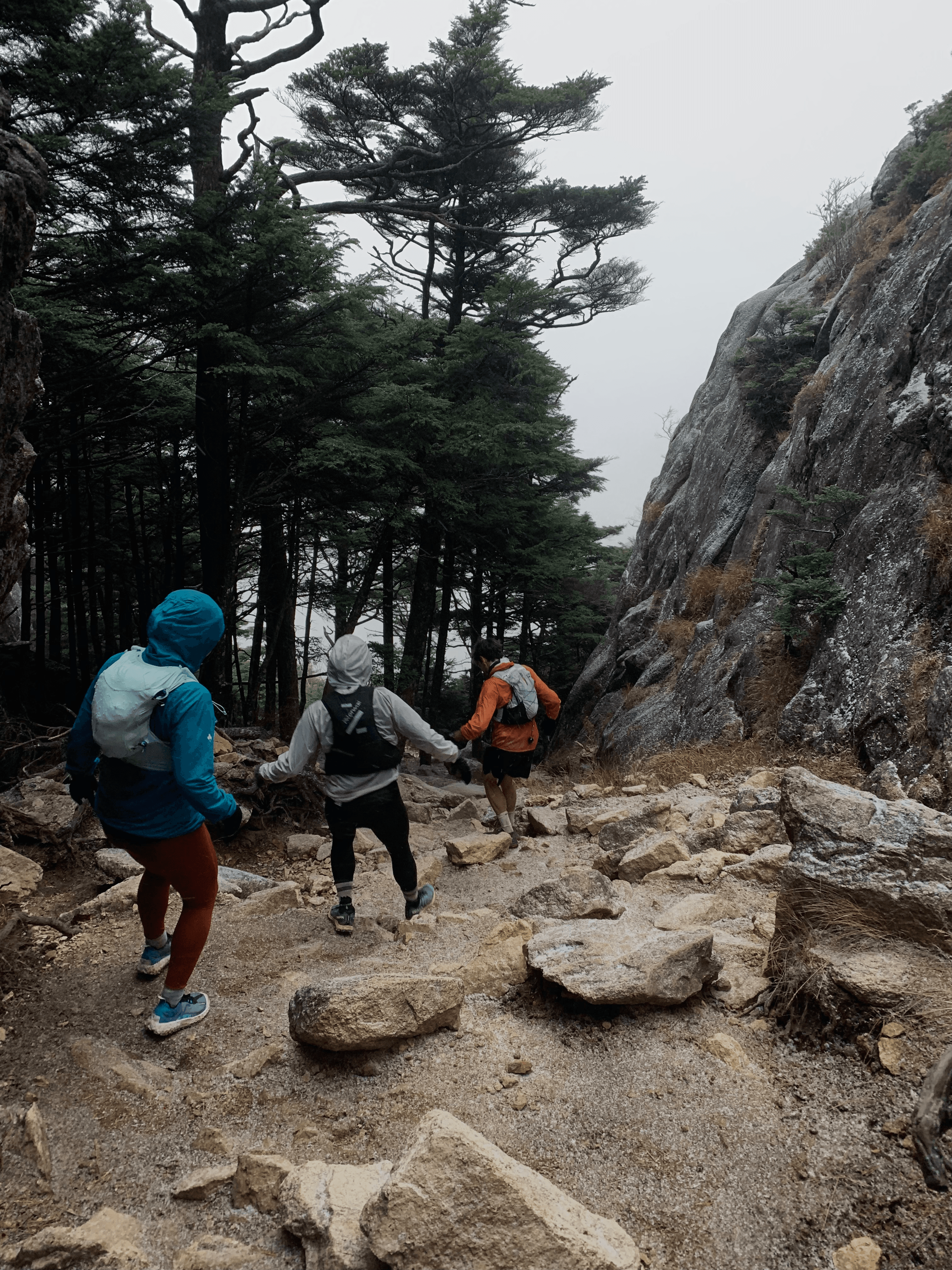 On the summit of Mt. Kinpu